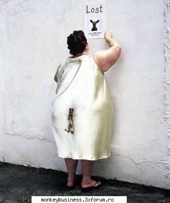 aici puneti poze funny!:d funny pics